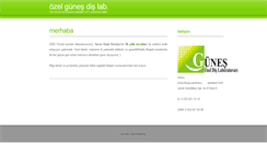 Desktop Screenshot of gunesdislab.com