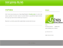 Tablet Screenshot of gunesdislab.com